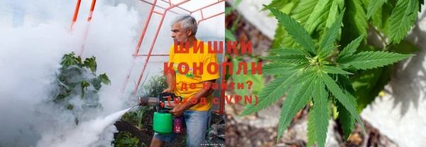 прущие грибы Белоозёрский