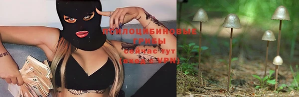 прущие грибы Белоозёрский