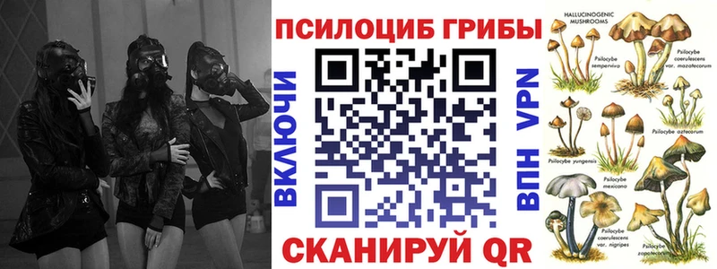 Галлюциногенные грибы прущие грибы  kraken вход  сайты даркнета состав  Славгород 