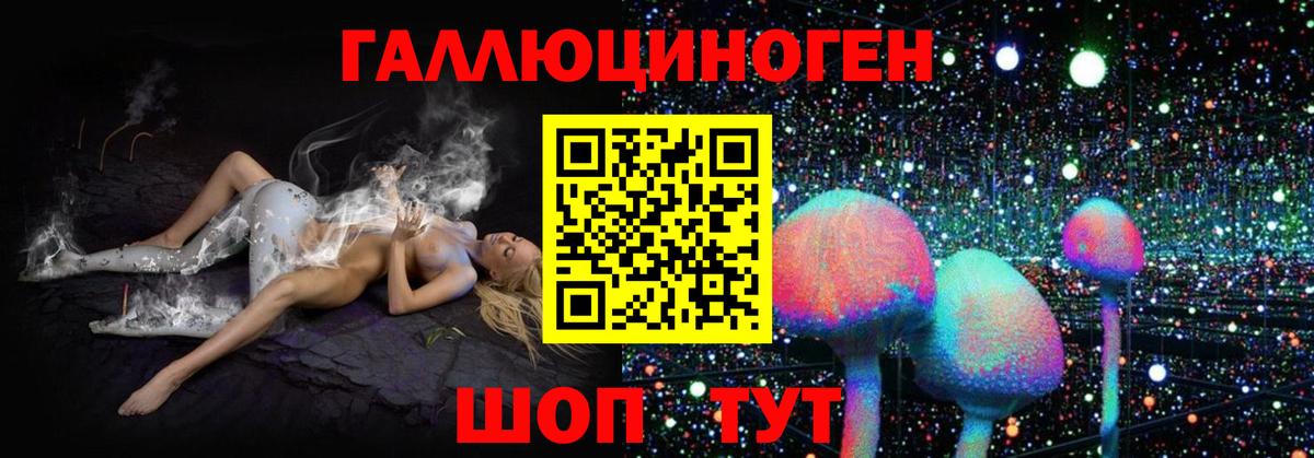 Псилоцибиновые грибы Psilocybine cubensis  Псилоцибиновые грибы мицелий  Вход с VPN  Славгород 