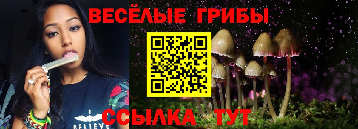 Галлюциногенные грибы прущие грибы Славгород