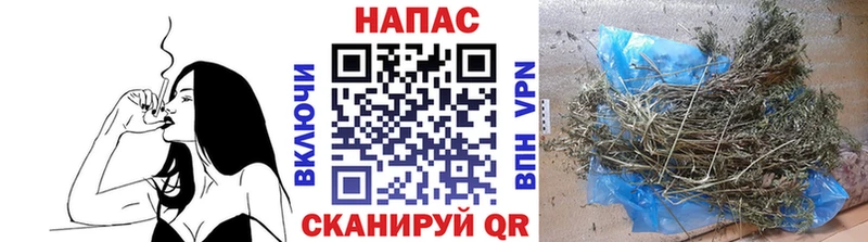 Шишки марихуана гибрид  даркнет сайт  hydra ссылка  Славгород 
