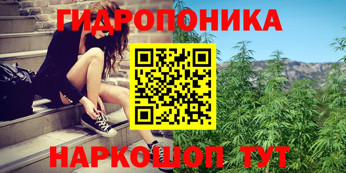 МАРИХУАНА план Славгород